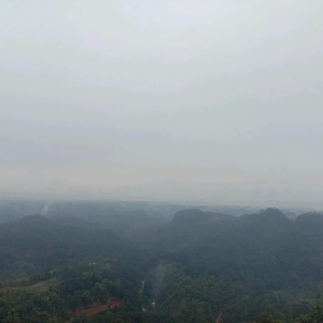 梦露