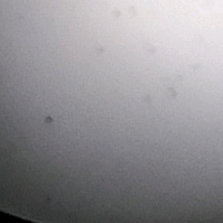 一生只为你一人，(*σ´∀`)σ呃呃呃呃