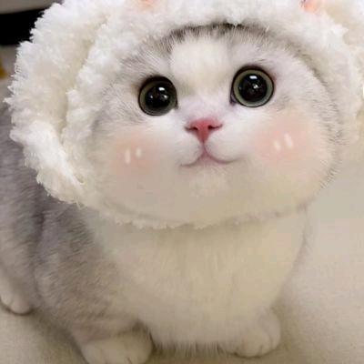 昼迁