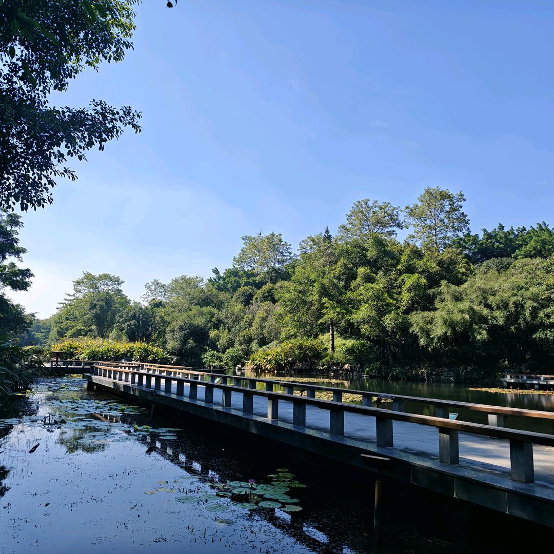 关你西红杮