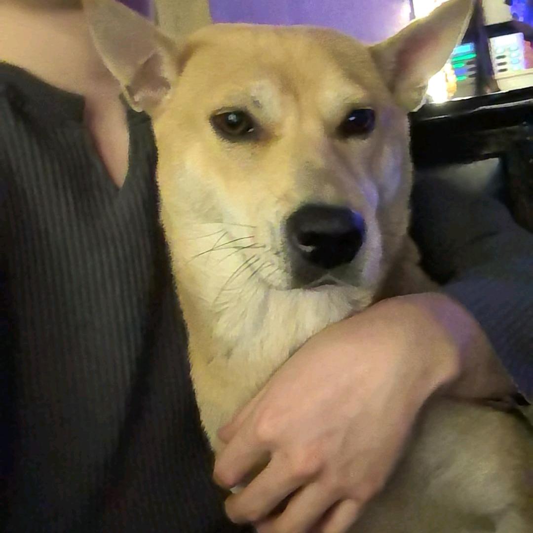 睡个好觉灬