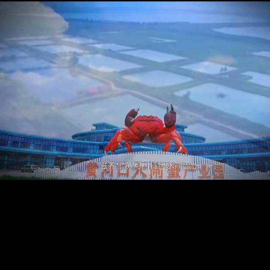 卖黄河口水产的小哥哥