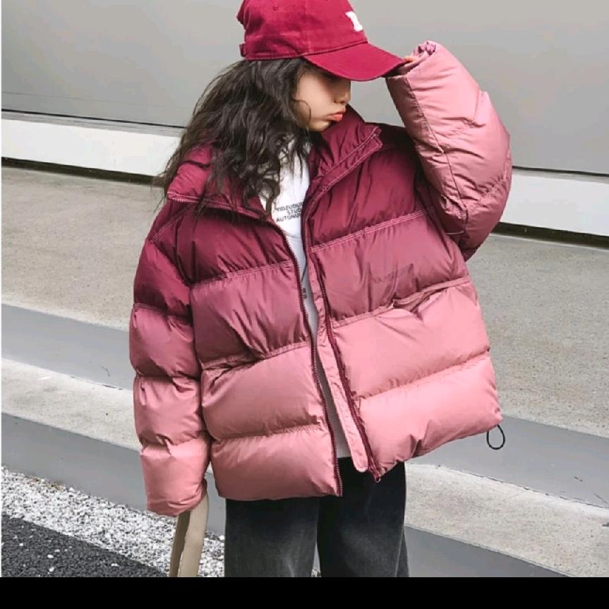 蓓蓓