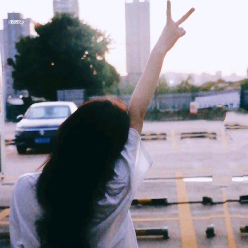 `手可摘星陈