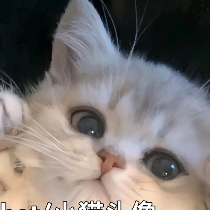 风筝<拒绝秒赞>