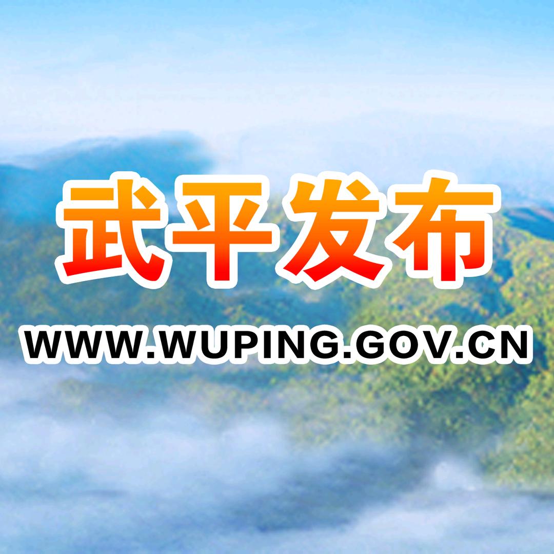 武平发布