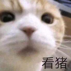 骆大乐