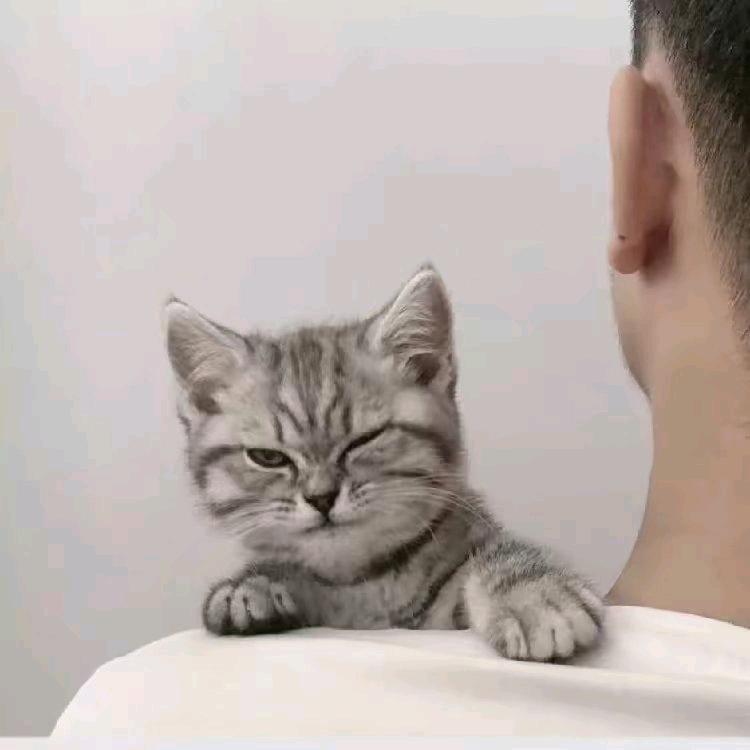 西雅图、夜未眠 °