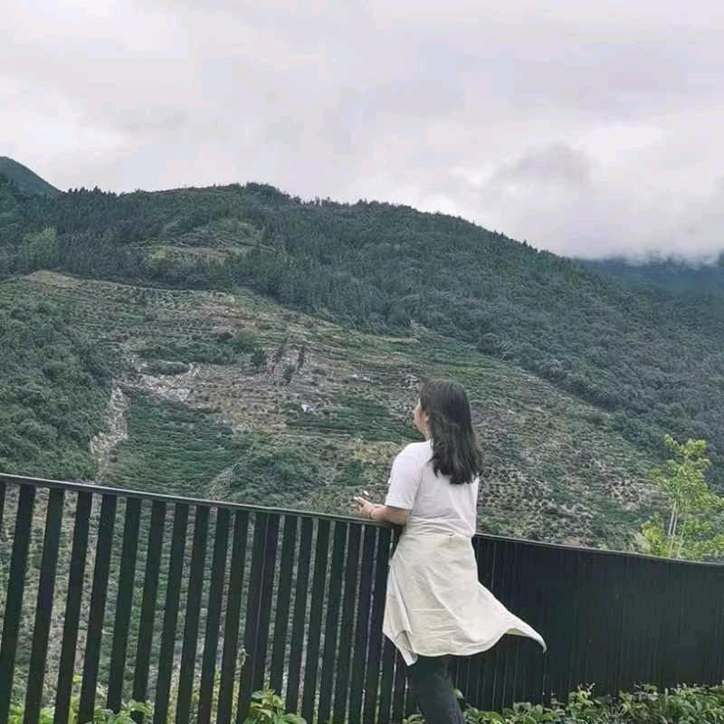 红宇