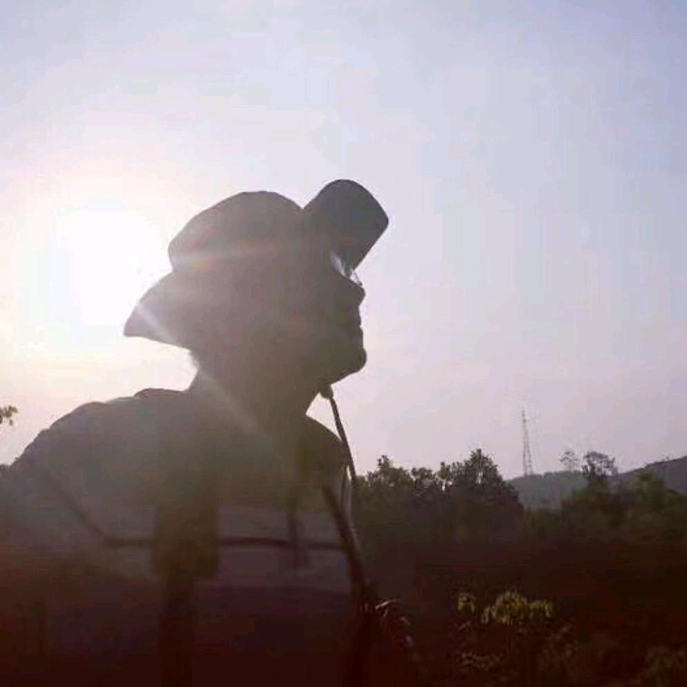 大漠叔叔（韭菜长了）