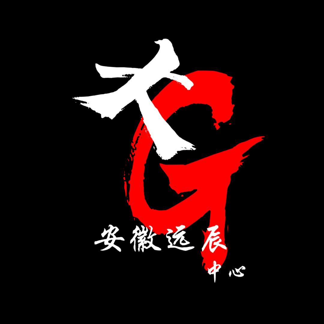 安徽远辰名车—小燕子