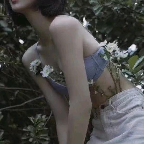 呆小呆爱吃香菜