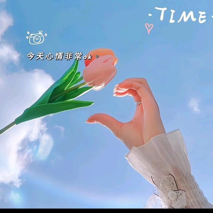 🍀四叶草🍀