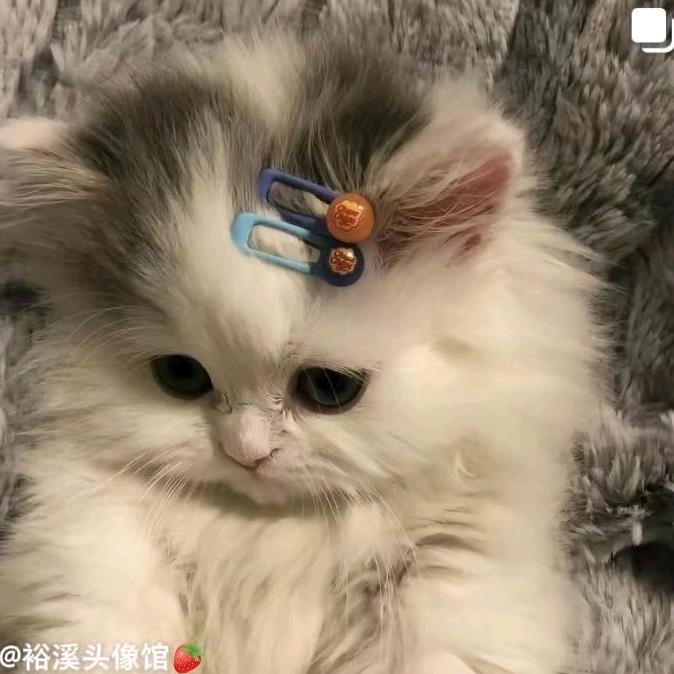 糖曹栗子🌰