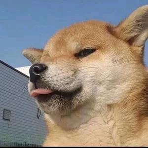 桐