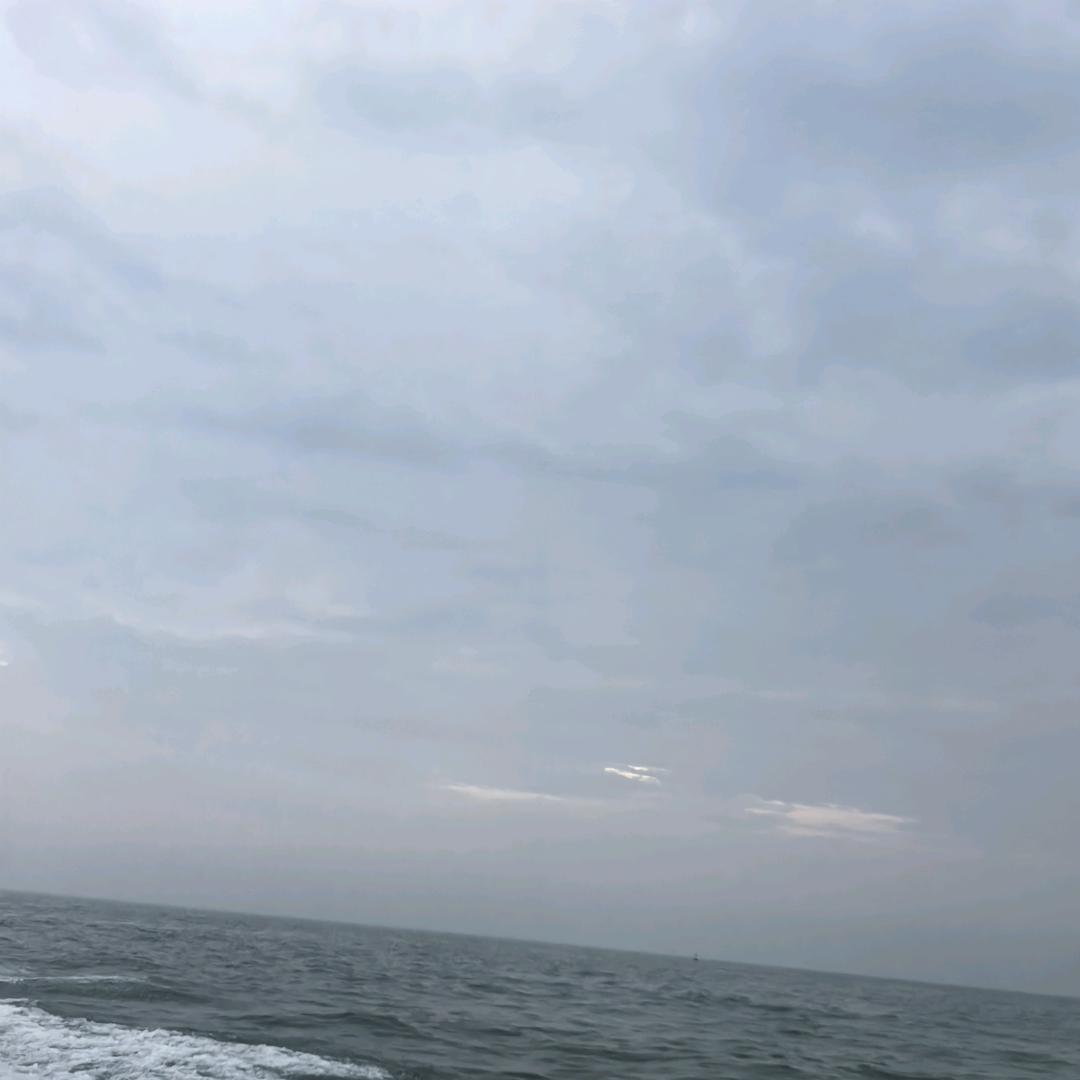 刺疼的梅花《拒绝私聊》