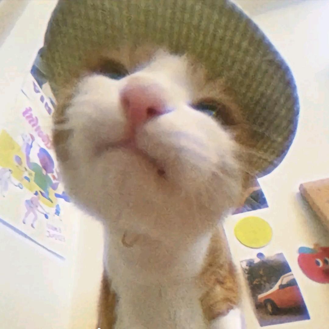 拼命三羊不刷不刷