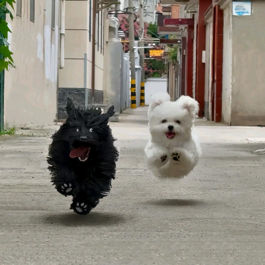 初闻汝名、久居吾心