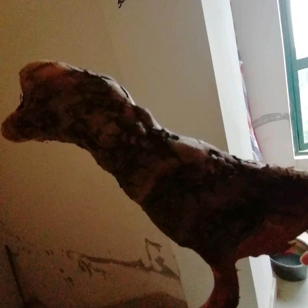 我无敌，你随意
