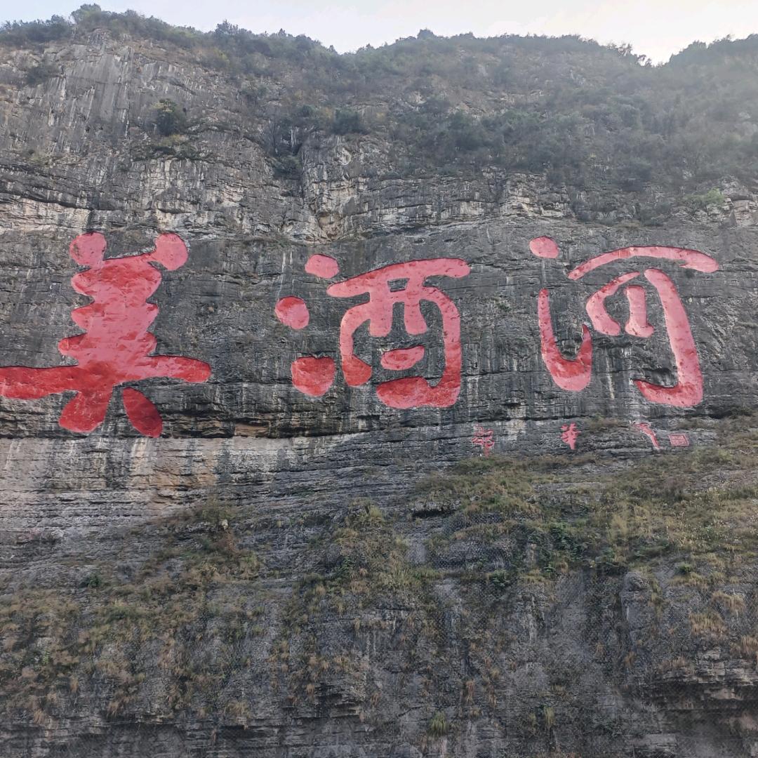 陈酒先生