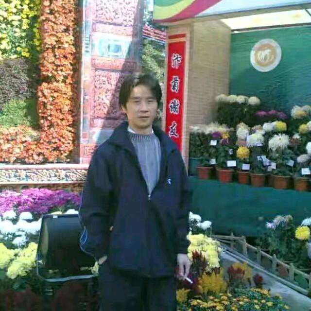 身不由已