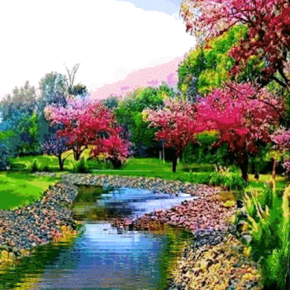 山中泉水