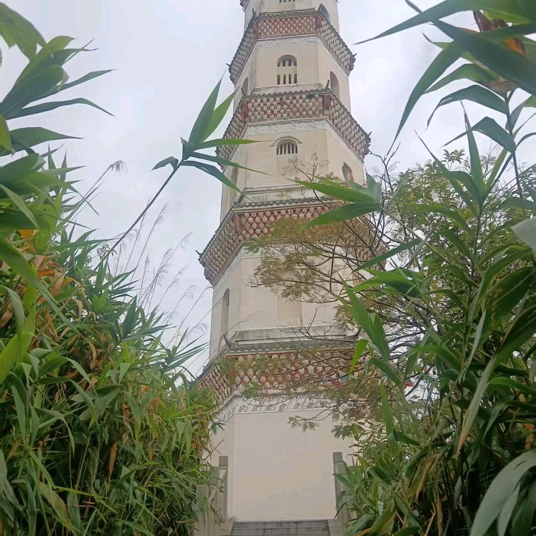 小点点