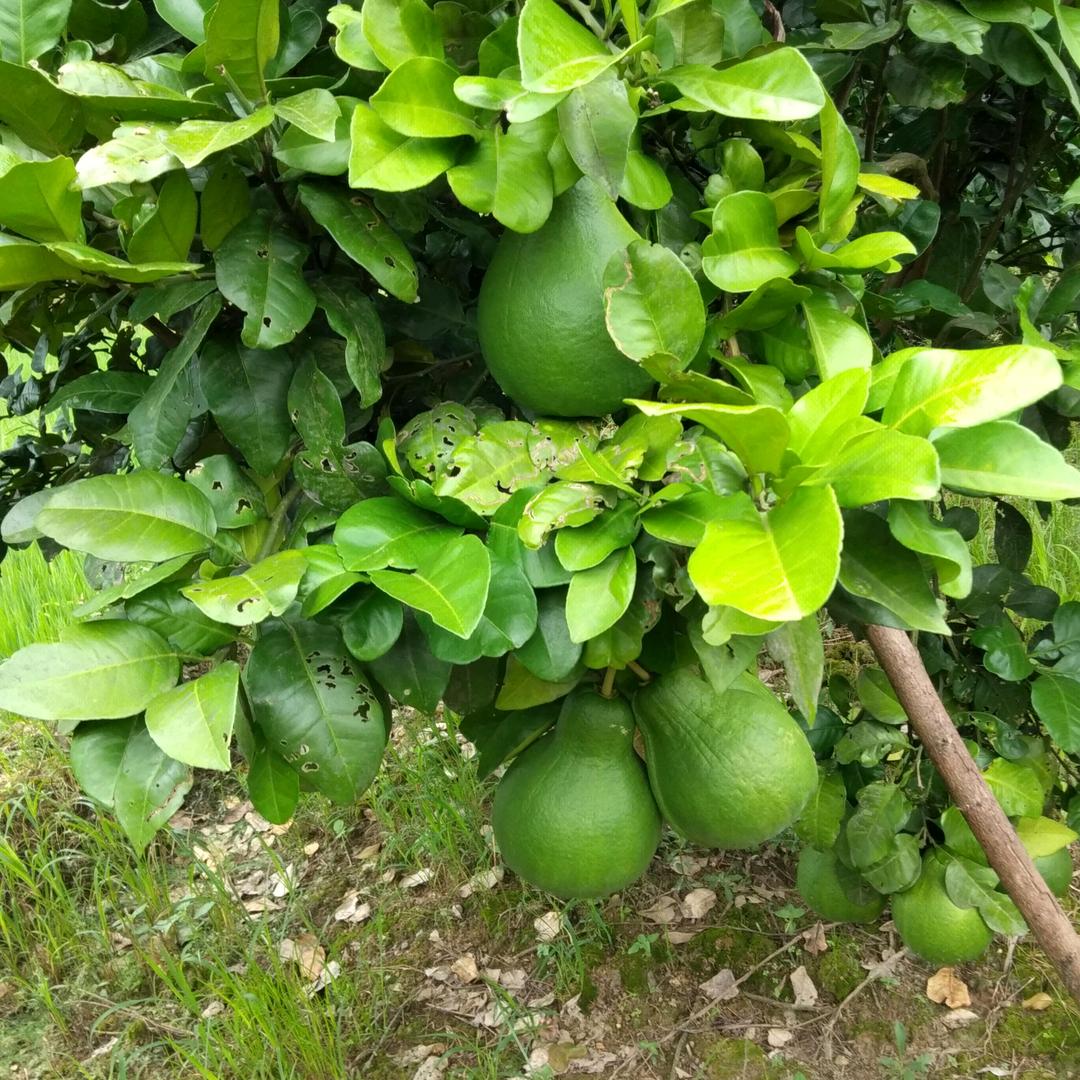 用户9639371809457