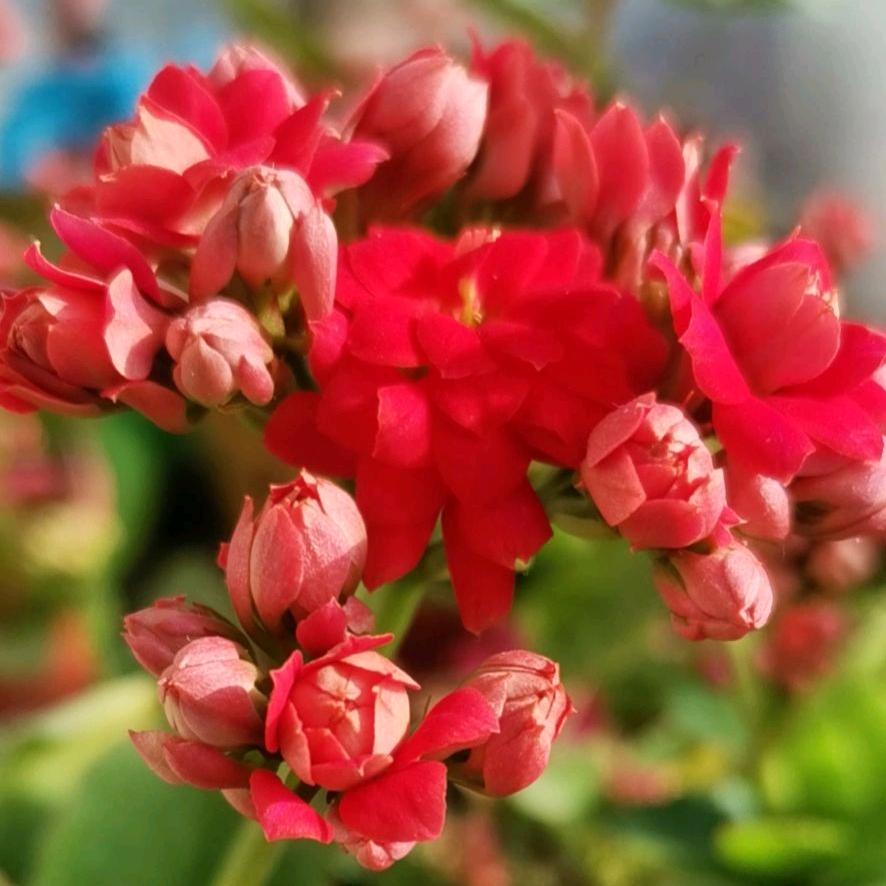 💚💚越来越好