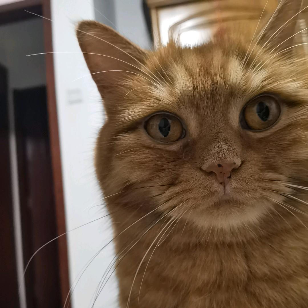 独一无二的自己