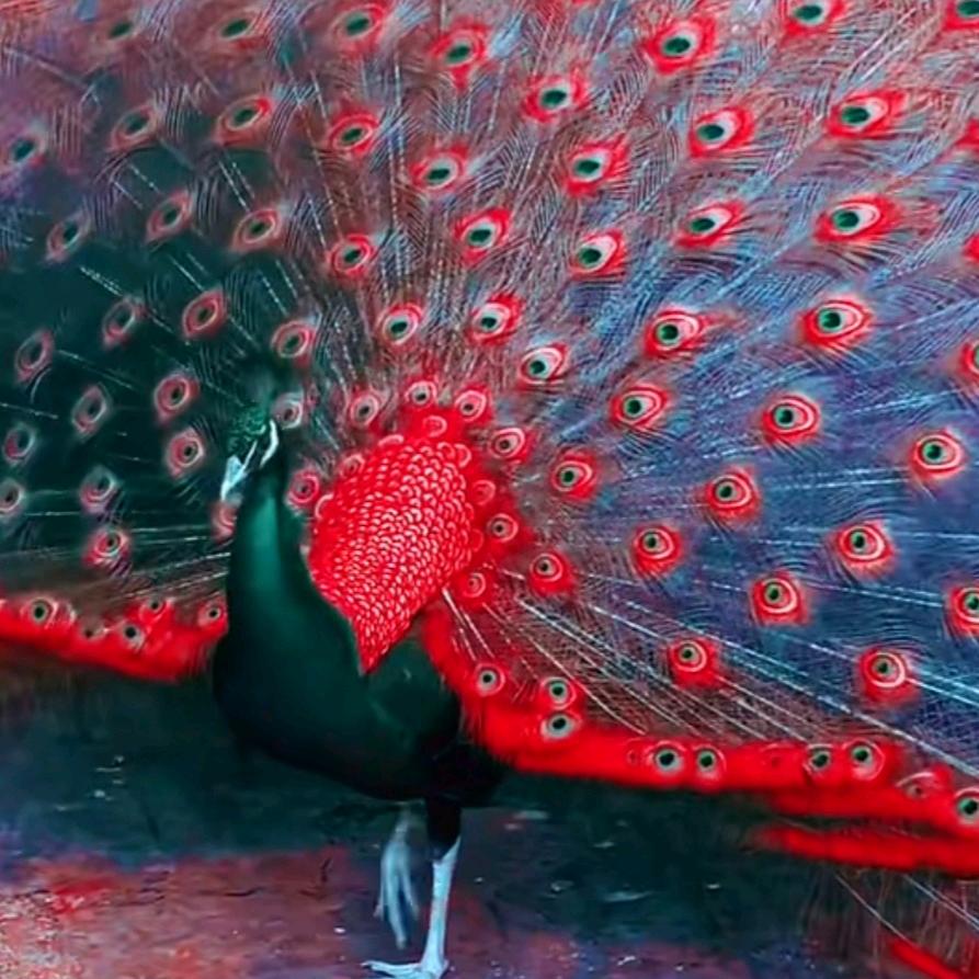 永远在学习的路上