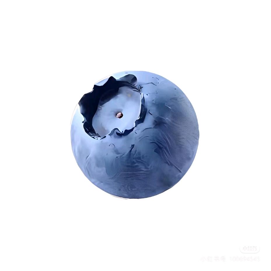 一颗蓝莓.