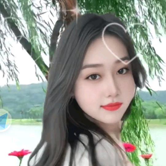 玫瑰花