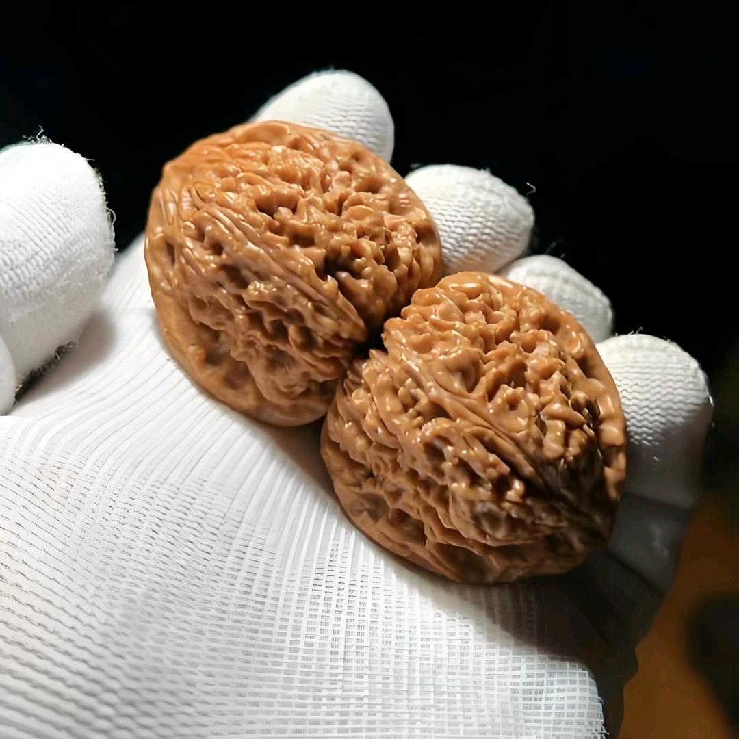 涿鹿川缘南将石