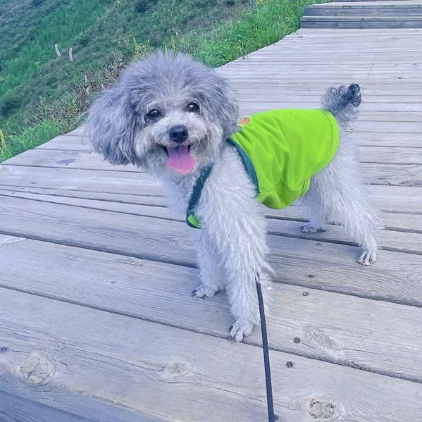 ♥╭(╯中牟╰)╮♥