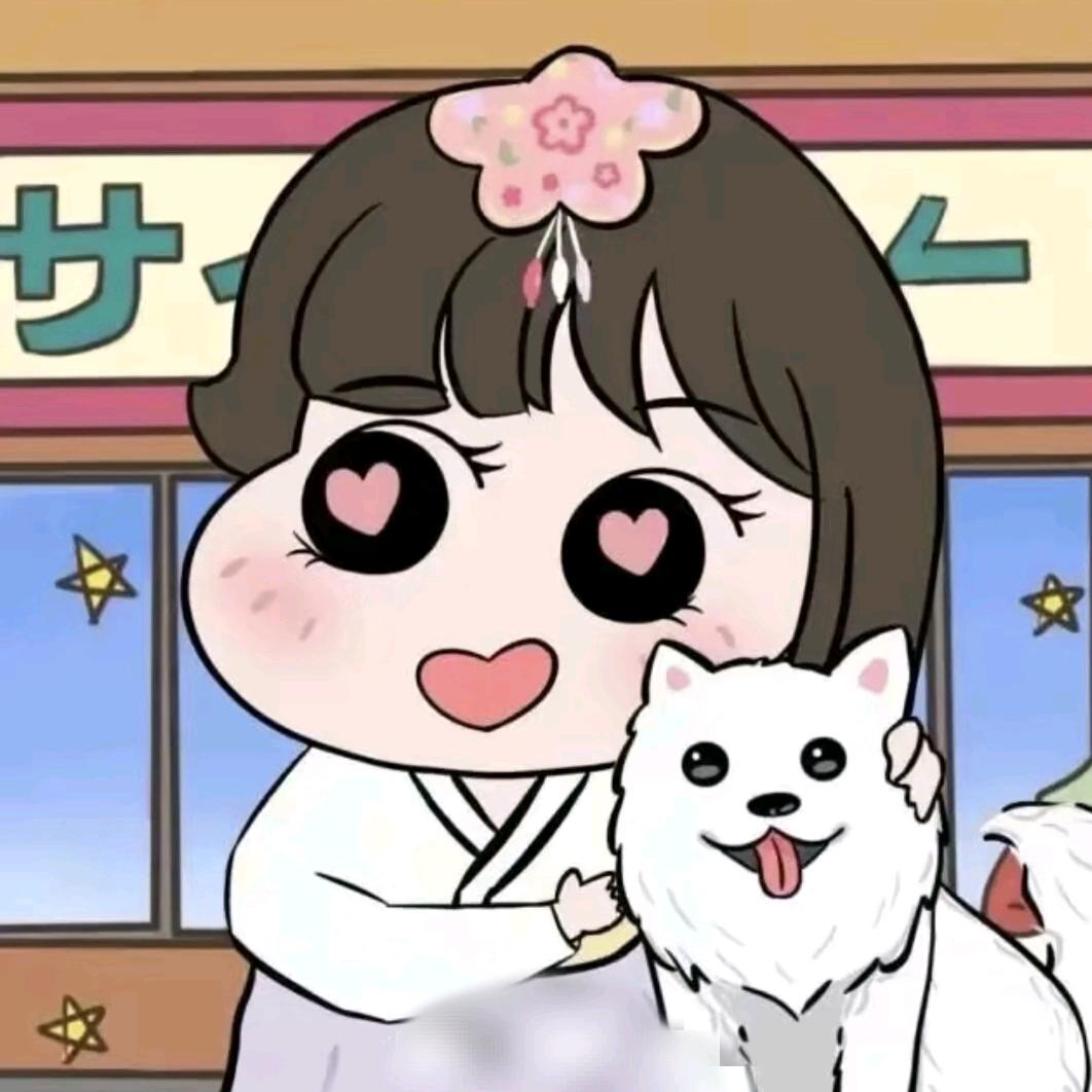关于Y