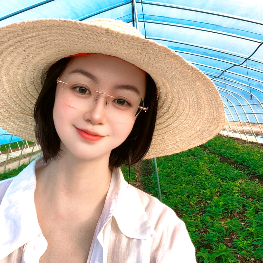 中药材种苗@小倩