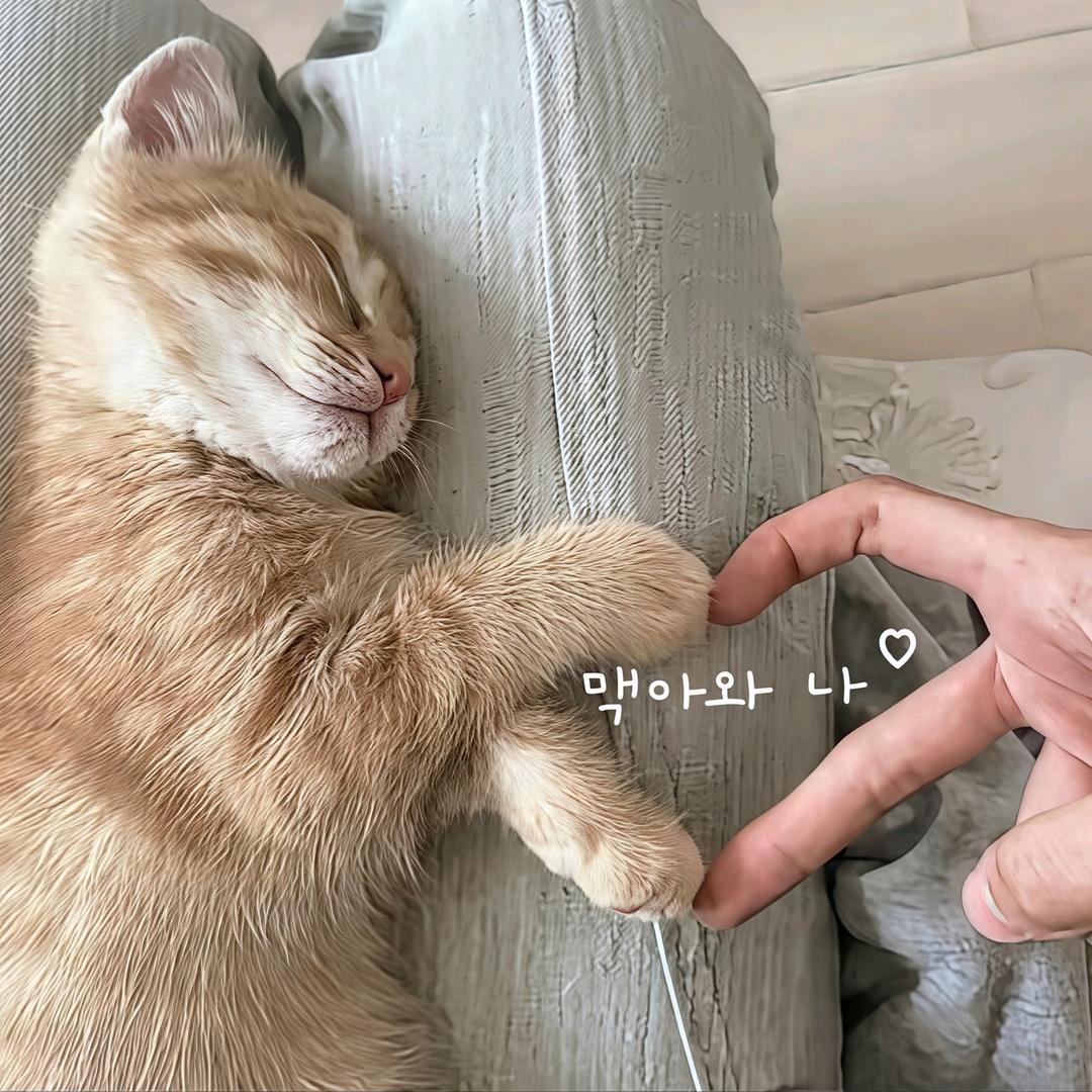 不眠島.