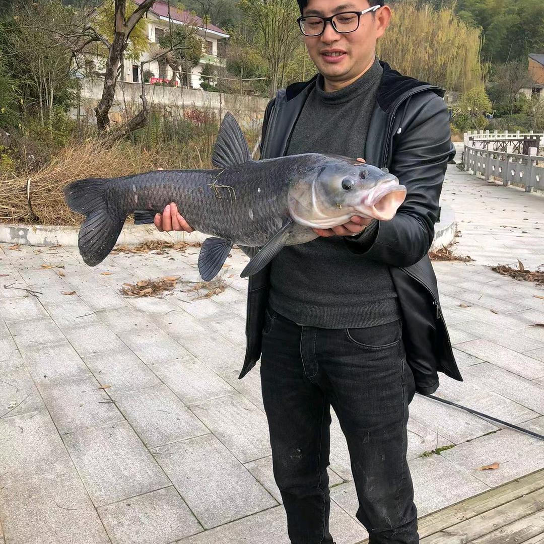 ·文东造型·