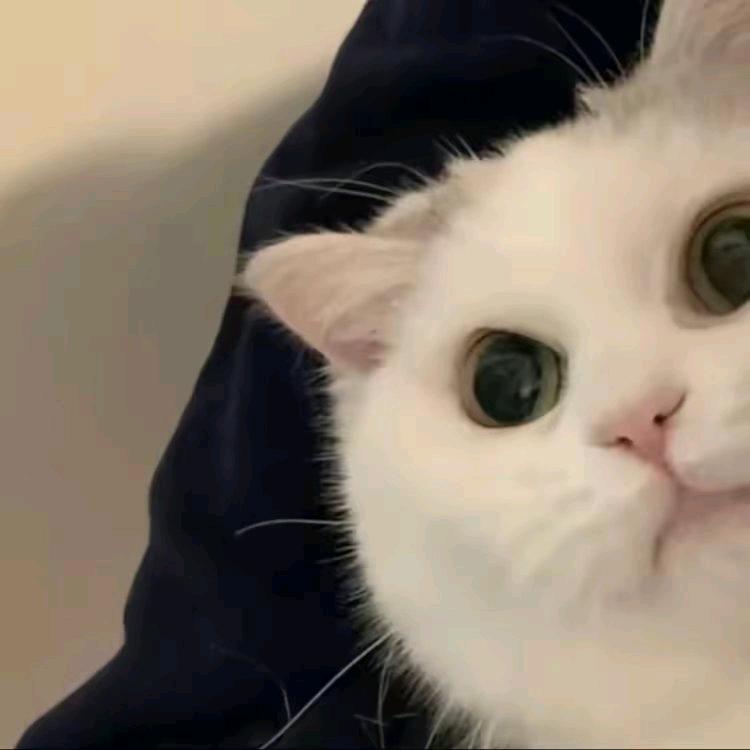 不浪漫
