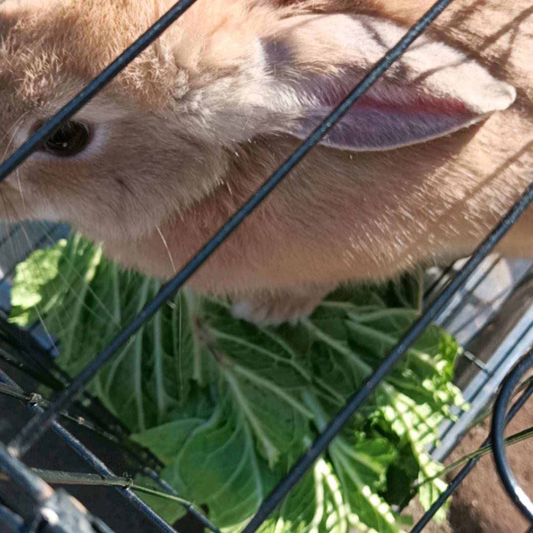 从心开始