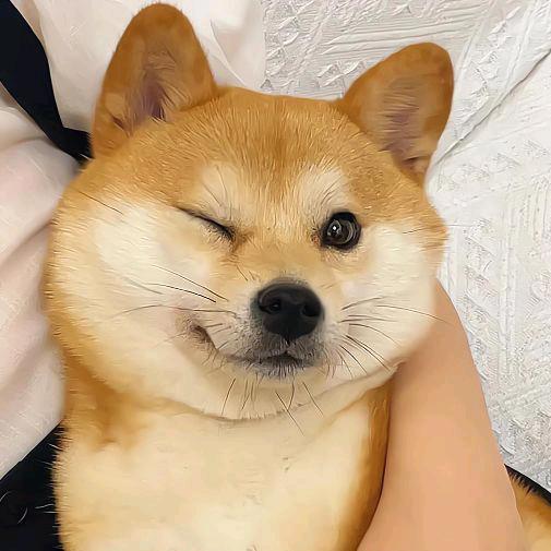 小蒋先生！
