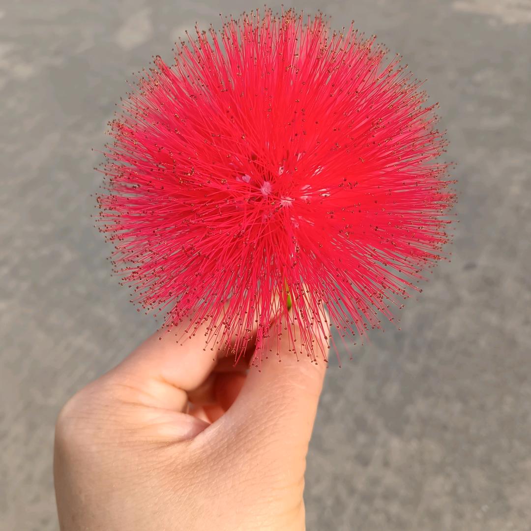 多余♻️的解释