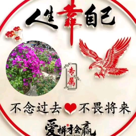 傻丫头