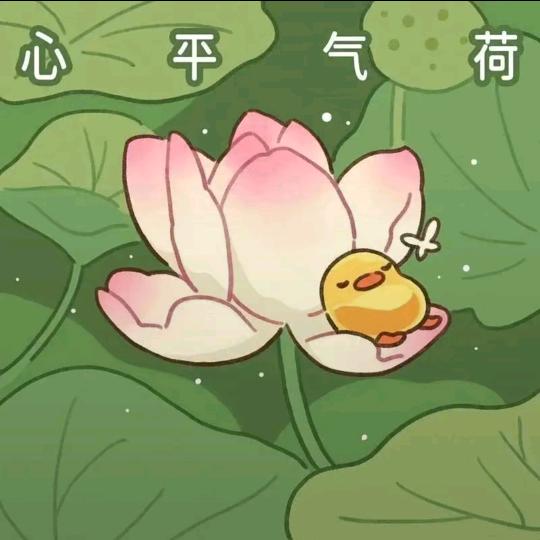 阿贞