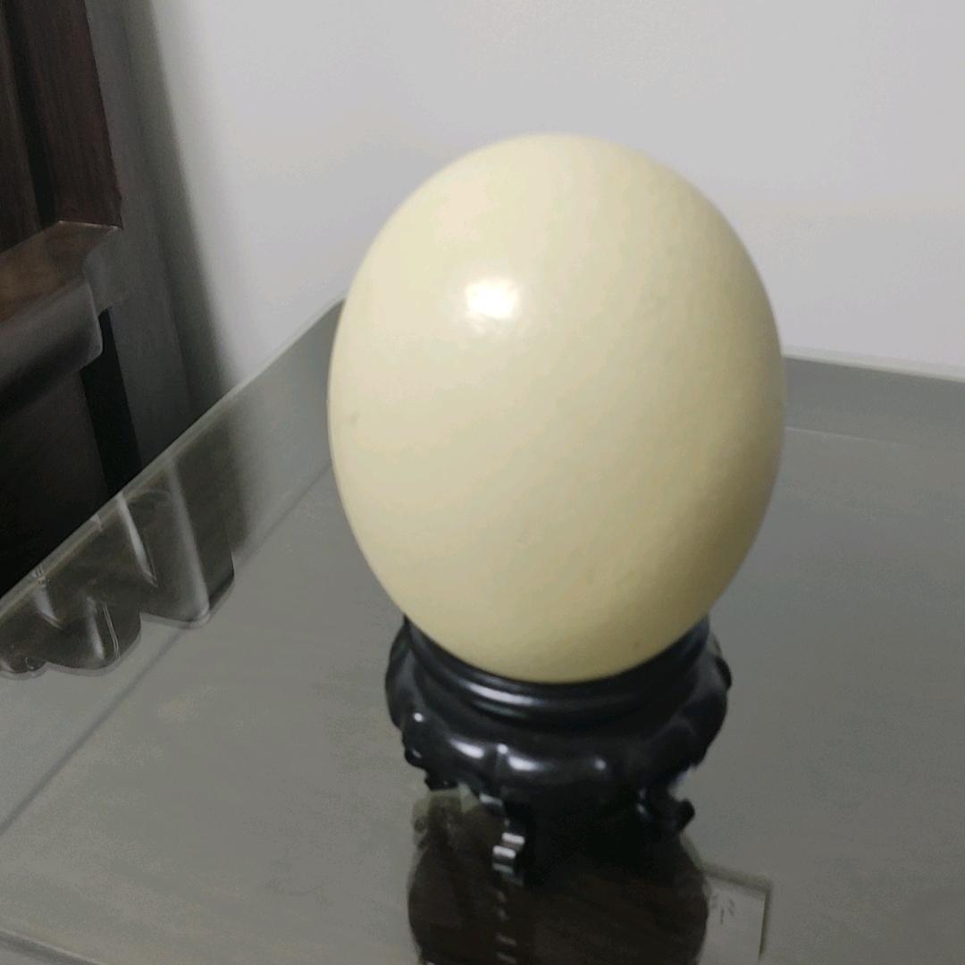 蛋蛋蛋🥚