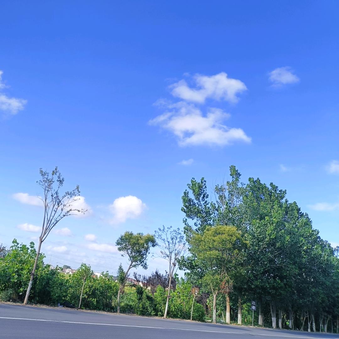 用户7953191404457