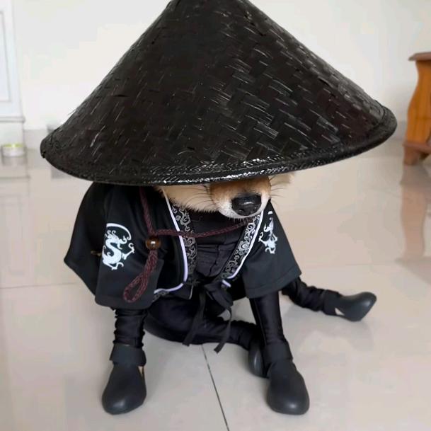 阿良