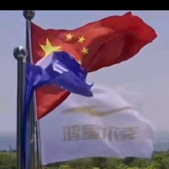 马王阿6