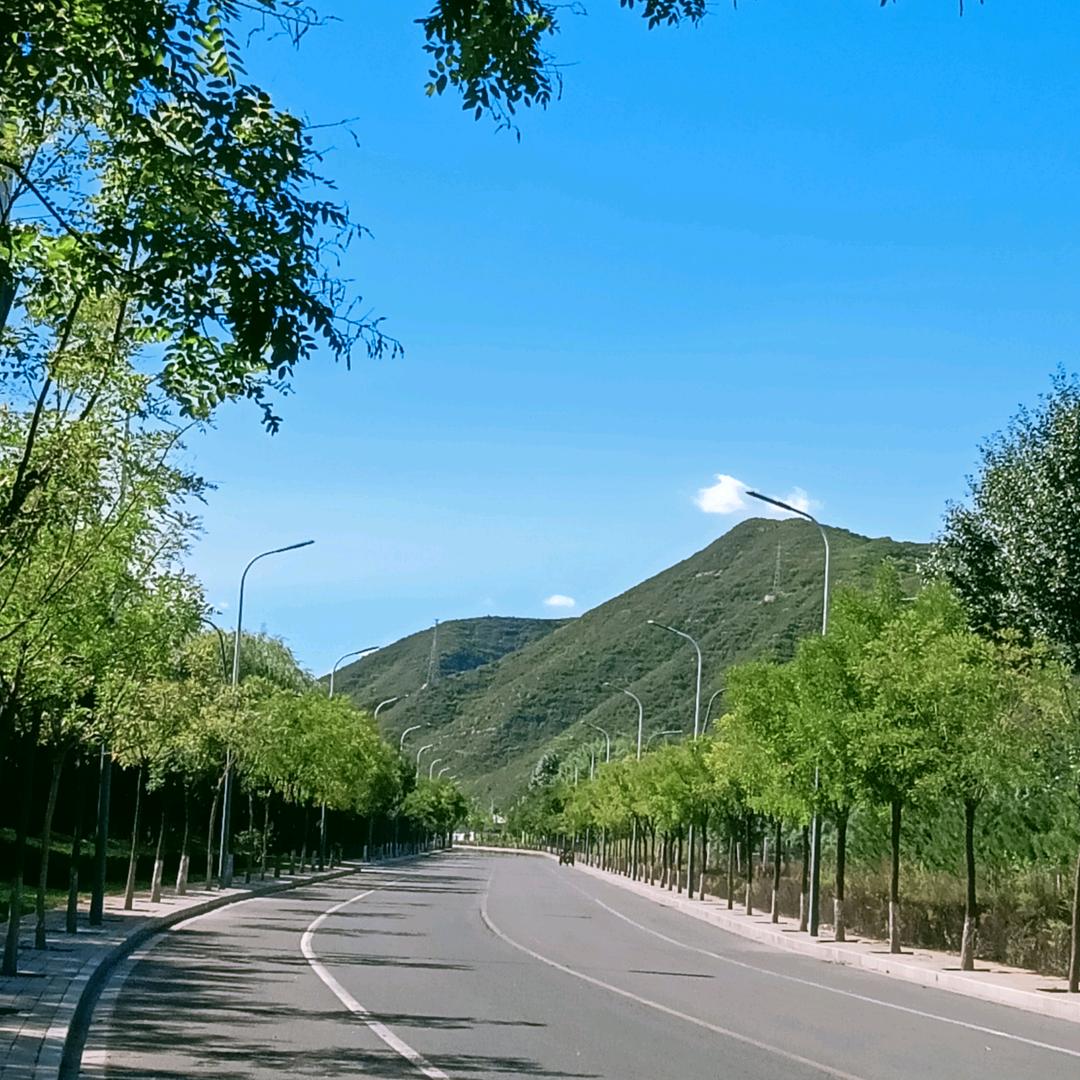 春季的风